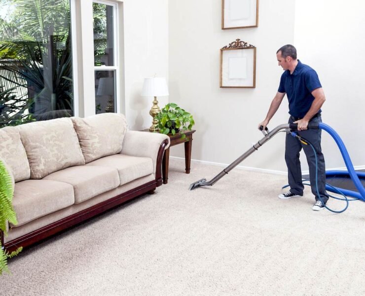 How to Remove Mold from Your Carpet