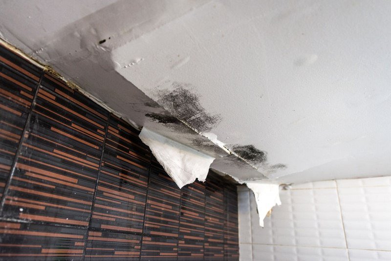 How Fast Water Damage Can Ruin Your Home