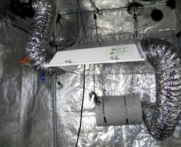 Featured image - Why Using a Grow Tent Fan Is Essential When Growing Indoors