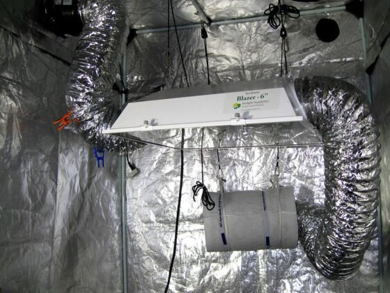 Featured image - Why Using a Grow Tent Fan Is Essential When Growing Indoors