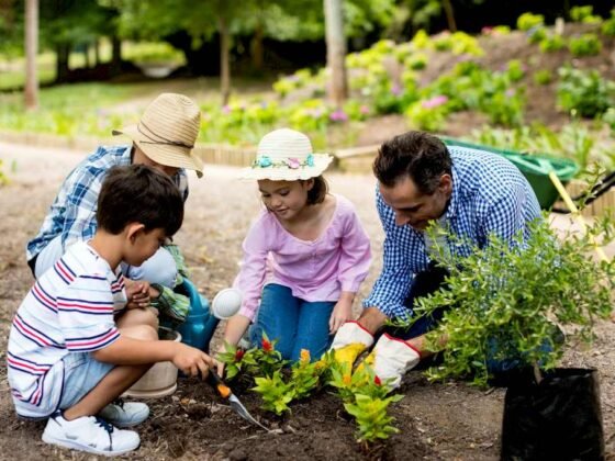 Featured image - 5 Ways to Maintain Your Garden Healthy