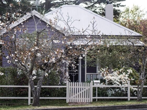 Featured image - Best Landscaping Ideas for the Front of Your House