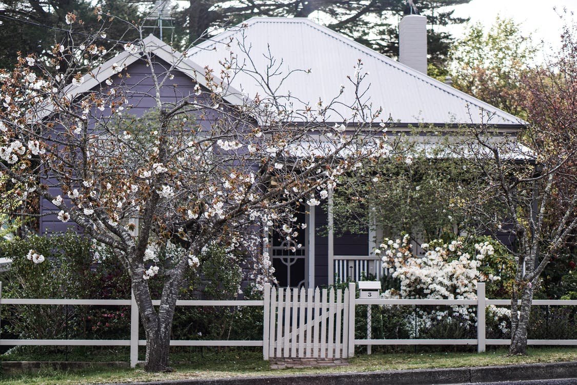 Best Landscaping Ideas for the Front of Your House image - Best Landscaping Ideas for the Front of Your House