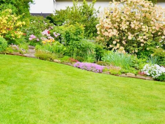Featured image - How to Do Landscaping on Your Own