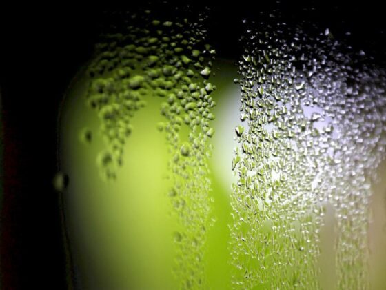 Featured image - How to Make DIY Dehumidifier