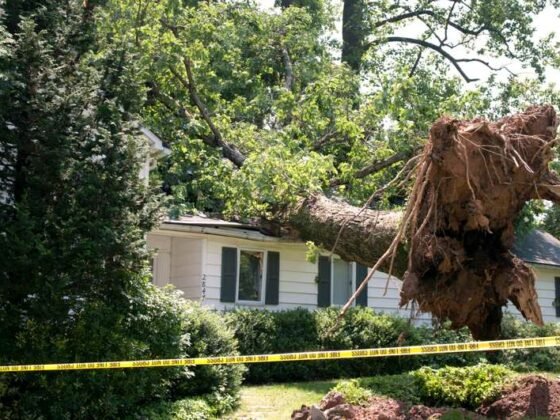 Featured image - Storm Damages and What They Mean for Your Home and Family