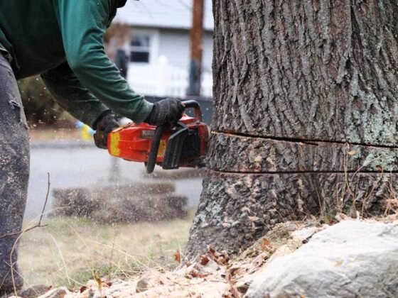 Featured image - 5 Home Repair Jobs You Should Leave to the Professionals