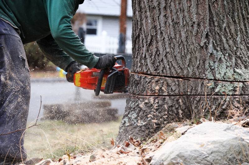 5 Home Repair Jobs You Should Leave to the Professionals image - 5 Home Repair Jobs You Should Leave to the Professionals