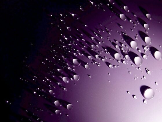 Featured image - Why Damp Proofing and Basement Waterproofing are Big Businesses in North London