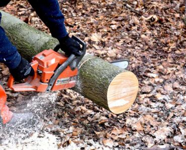 Featured image - How to Pick the Best Chainsaw for Your Money