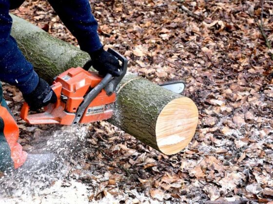 Featured image - How to Pick the Best Chainsaw for Your Money