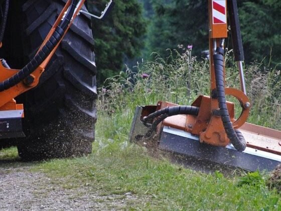 Featured image - Oklahoma City Weed Control Tips for Your Lawn