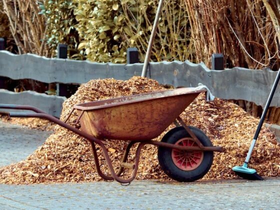 Featured image - What is Mulch and How Does it Benefit Your Garden