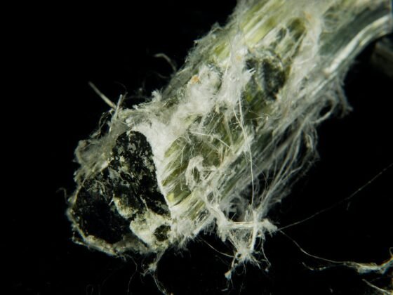 Featured image - Health Matters - Why Was Asbestos Banned