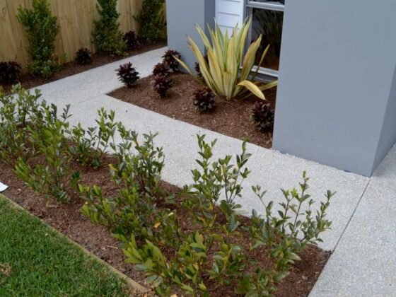 Featured image - Smart Landscape Curbing Tips to Help Maintain the Concrete in Your Garden