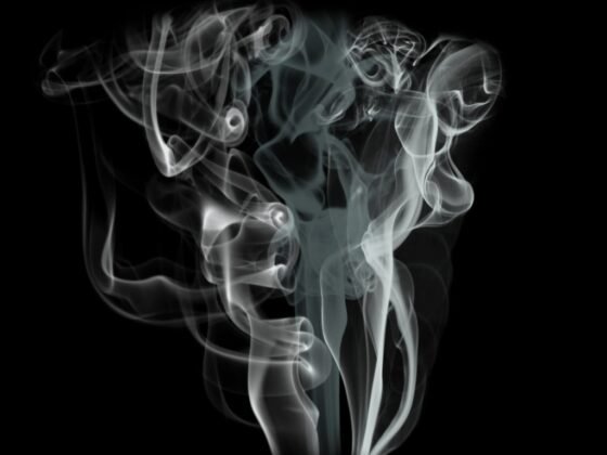 Featured image - 5 Common Indoor Air Pollutants