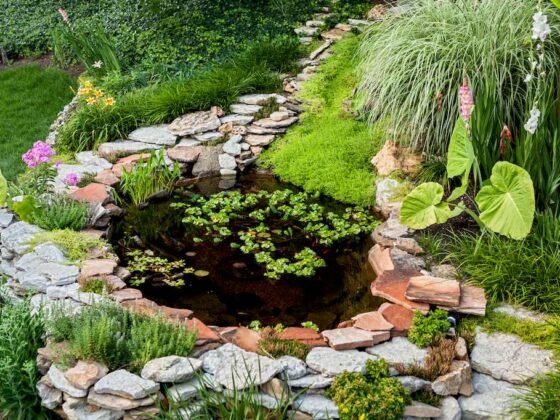 Featured image - 3 Ways to Decorate a Pond to Make a Big Splash