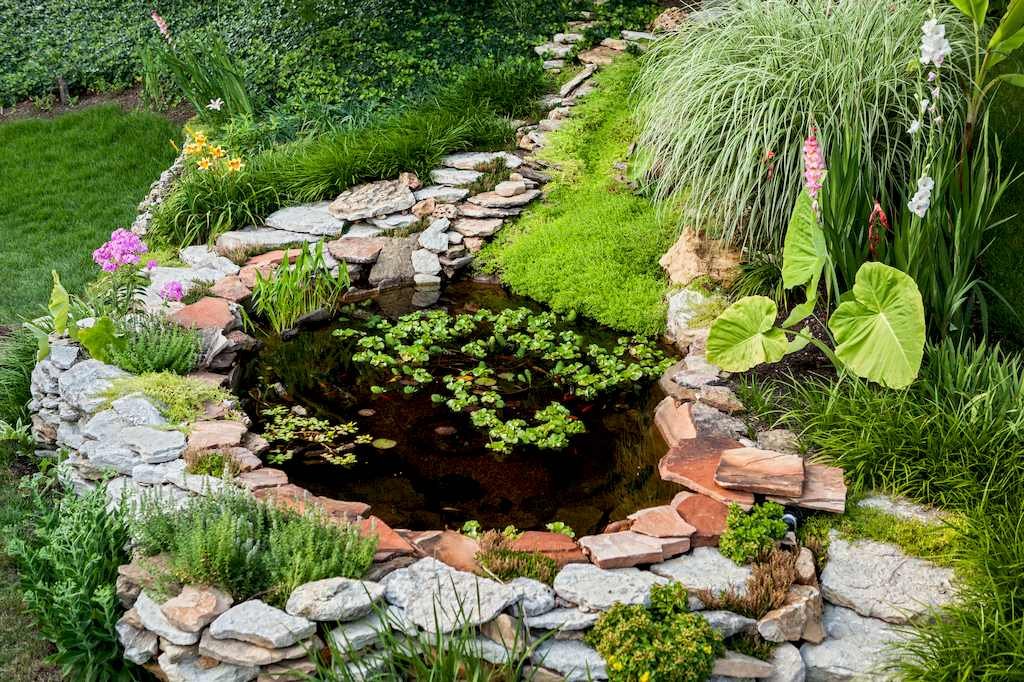 3 Ways to Decorate a Pond to Make a Big Splash image - 3 Ways to Decorate a Pond to Make a Big Splash