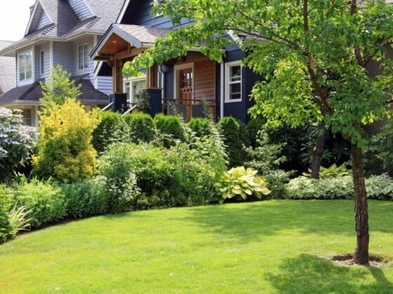 Featured image - 4 Awesome Benefits of Trees for Your Lawn