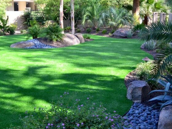 Featured image - How to Completely Revamp Your Yard