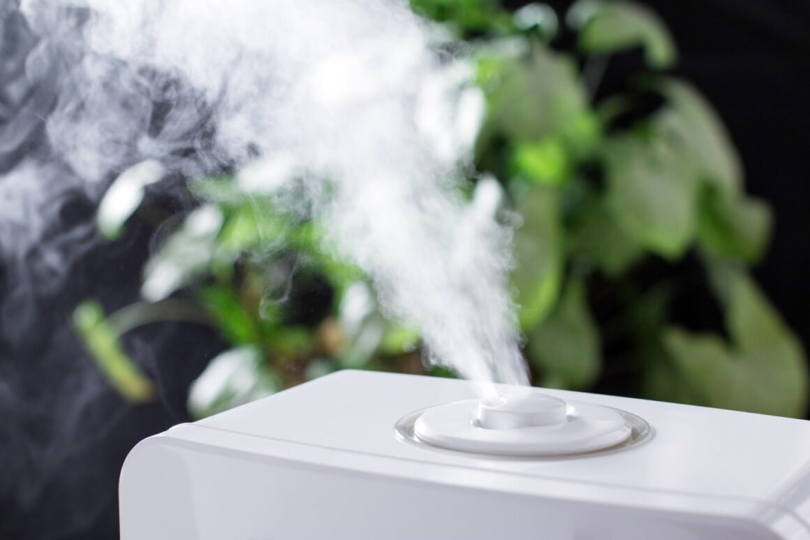 Is a Dehumidifier Worth It?