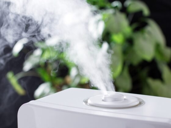 Featured image - Is a Dehumidifier Worth It?