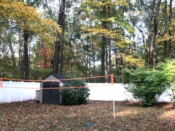 Featured image - Landscaping Tips for a Rodent-Free Home