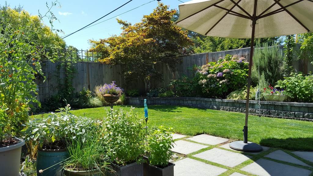 10 Ways to Make Your Backyard Appear Larger Than It Is image - 10 Ways to Make Your Backyard Appear Larger Than It Is
