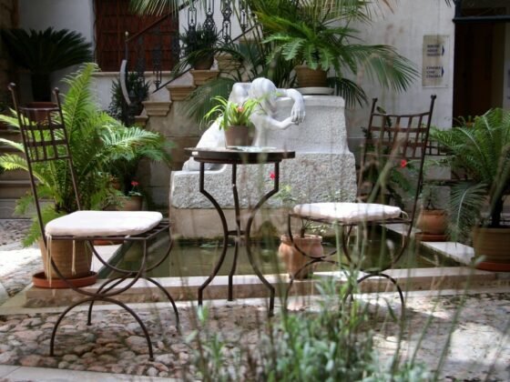 Featured image - Tips to Get the Best Out of Your Outdoor Living Area