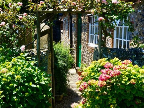 Featured image - 5 Stunning Yard Decoration Ideas for Your Home This Summer