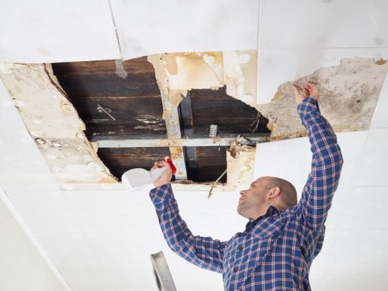 Featured image - 5 Questions to Ask Before Choosing a Mold Removal Company