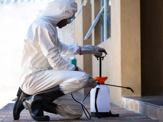 Featured image - Why You Should Hire Pest Control Company From Long Island