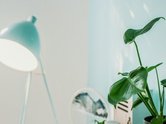 Featured image - Improving Your Home's Indoor Air Quality