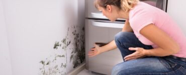 Featured image - Is Your Home a Hazard? 5 Mold Health Risks That You Need to Know
