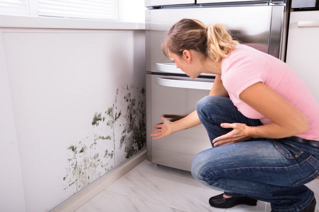 Is Your Home a Hazard? 5 Mold Health Risks That You Need to Know image - Is Your Home a Hazard? 5 Mold Health Risks That You Need to Know