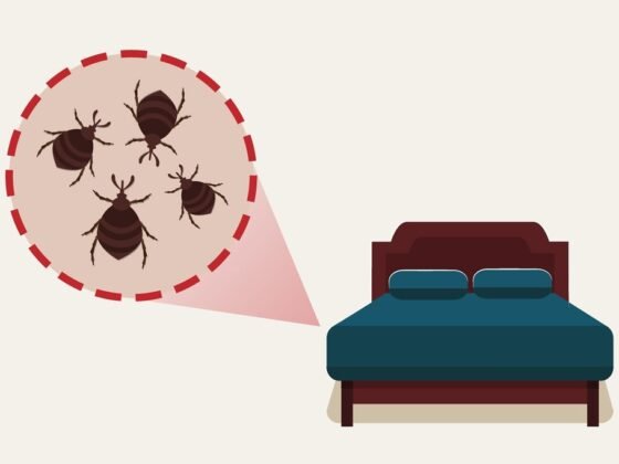 Featured image - The Best Way to Keep Your House Pest-free
