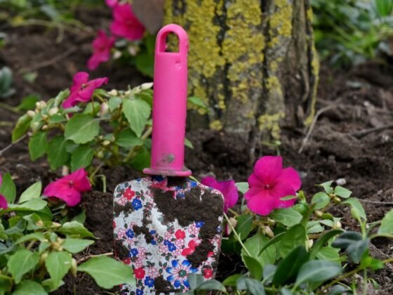 Featured image - What Should You Be Growing in Your Garden and When