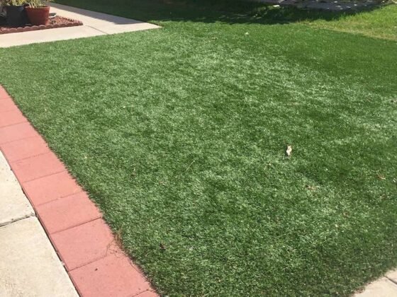 Featured image - Why Artificial Grass Is Good for Your Dogs