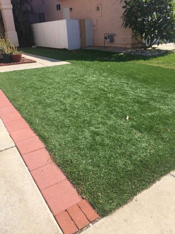 Featured image - Why Artificial Grass Is Good for Your Dogs