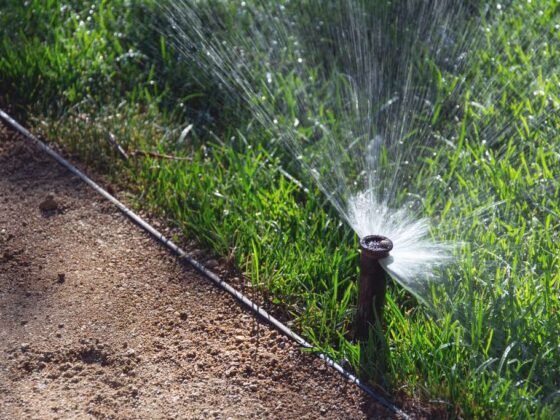 Featured image - Why You Need a Reticulation System