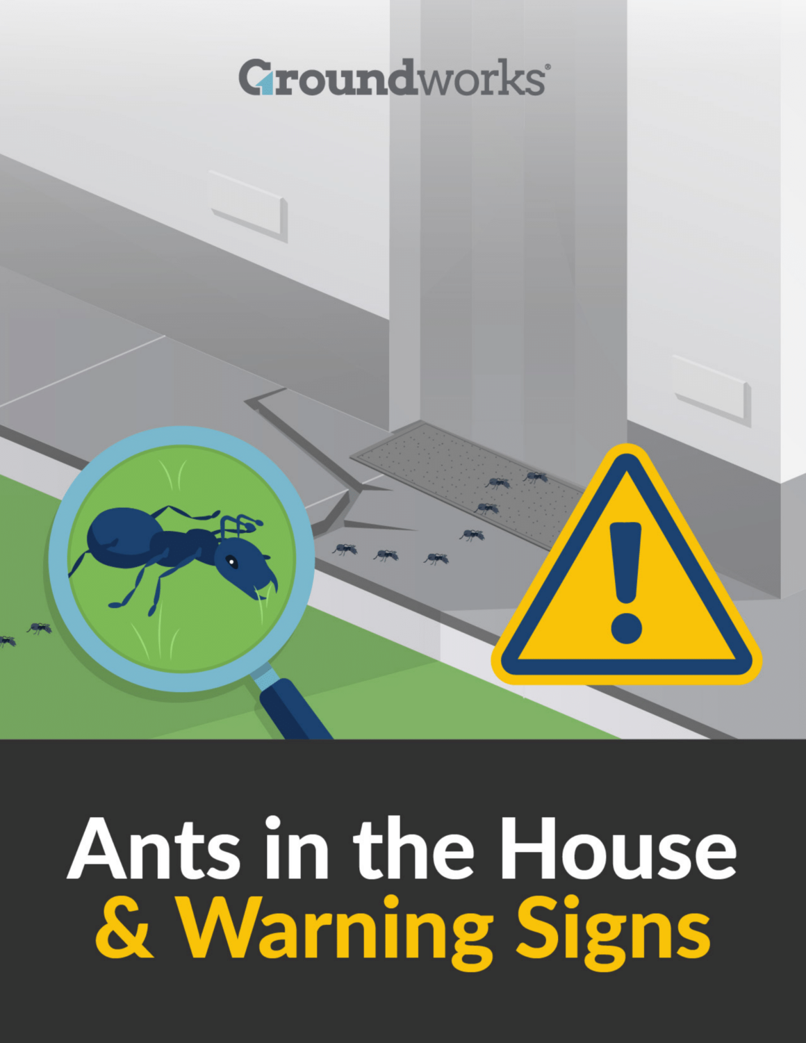 Featured image - 8 Tips for Avoiding Ants in Your House