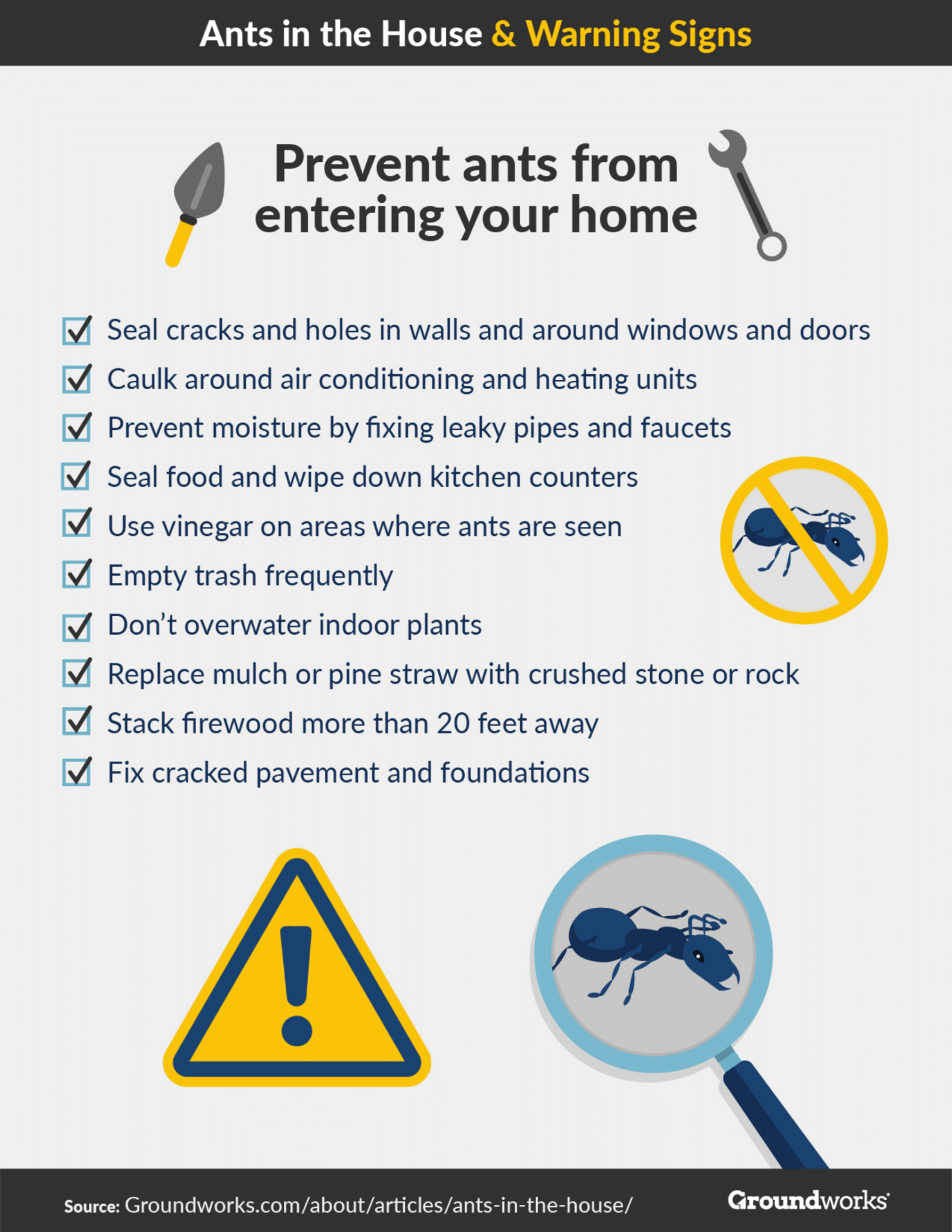 8 Tips for Avoiding Ants in Your House
