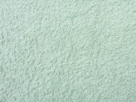 Featured image - 6 Steps to Deep Clean Your Carpet
