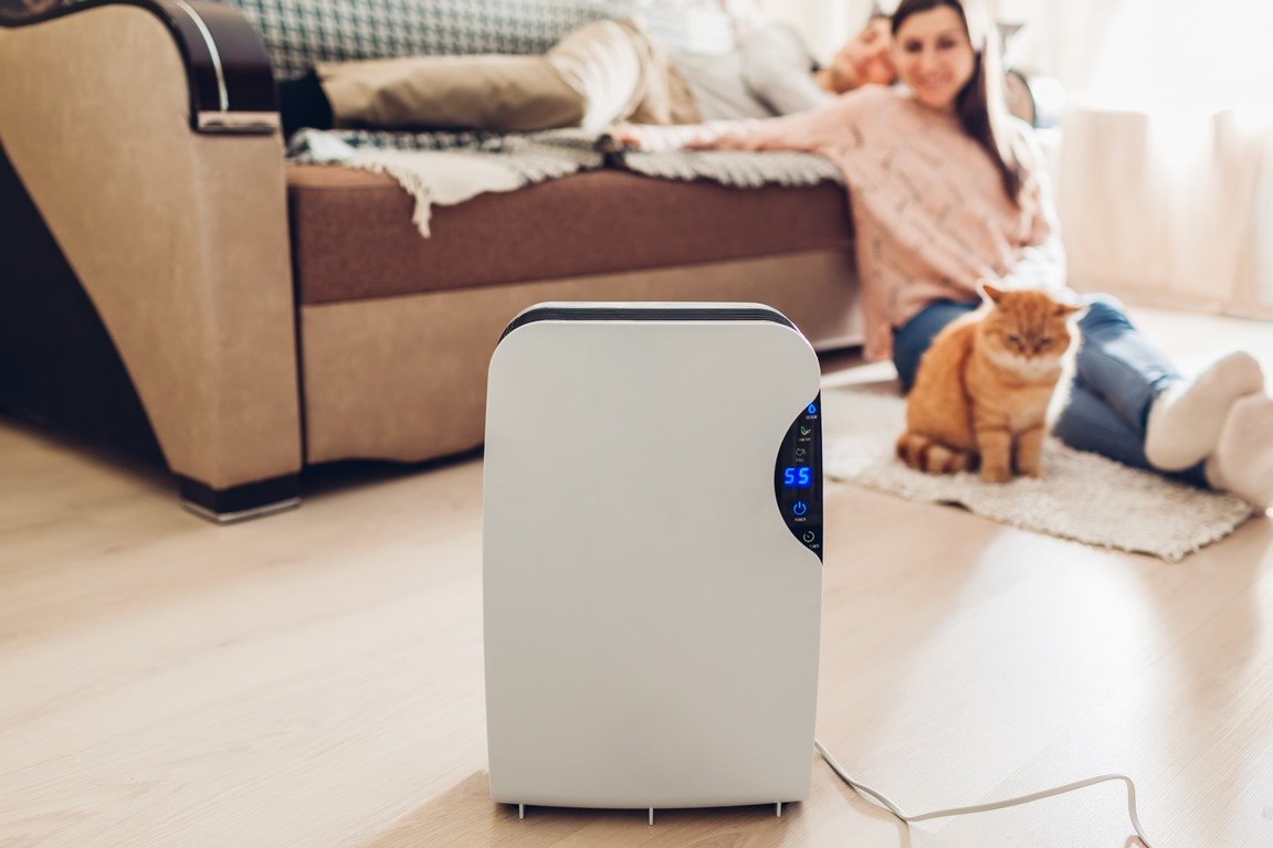 What Are the Benefits of Desiccant Dehumidifiers image - What Are the Benefits of Desiccant Dehumidifiers