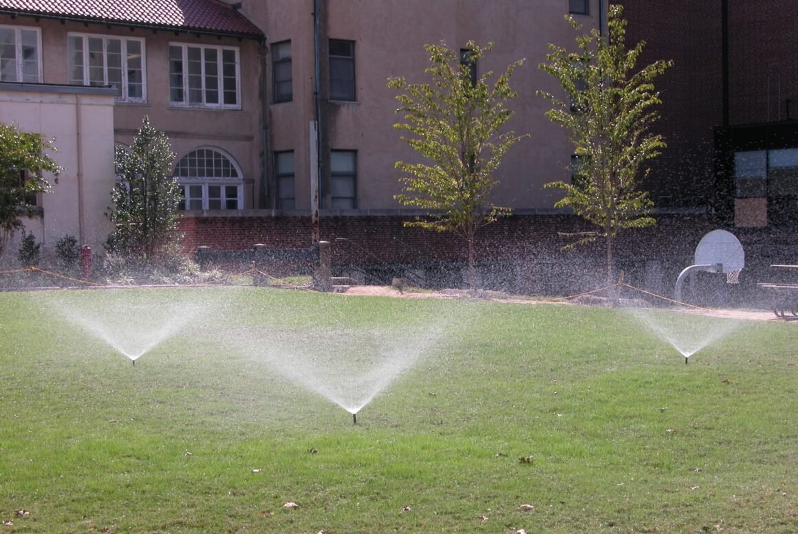 Featured image - How Does a Sprinkler System Add Value to Your Landscape