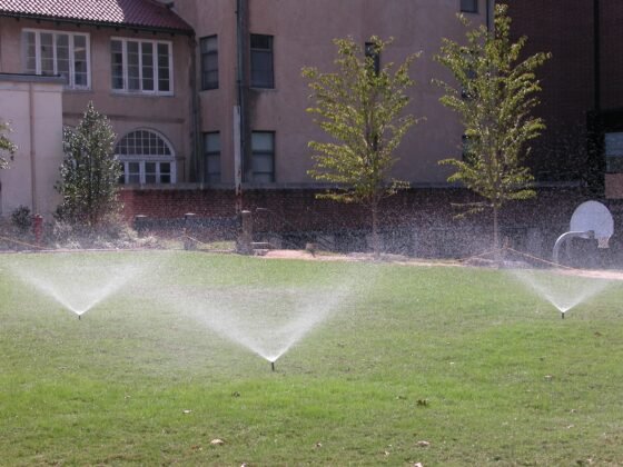 Featured image - How Does a Sprinkler System Add Value to Your Landscape