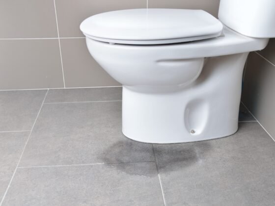 Featured image - How to Fix a Leaking Toilet: The Complete Homeowner's Guide