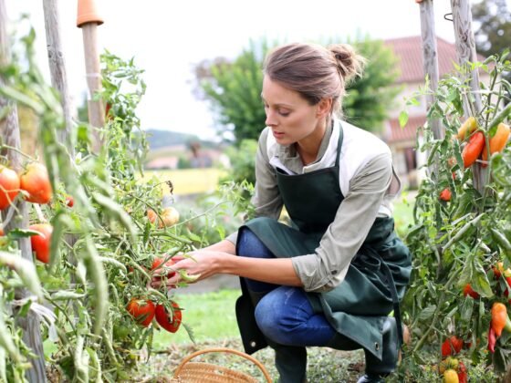 Featured image - How to Start a Vegetable Garden from Scratch: A 7-Step Guide