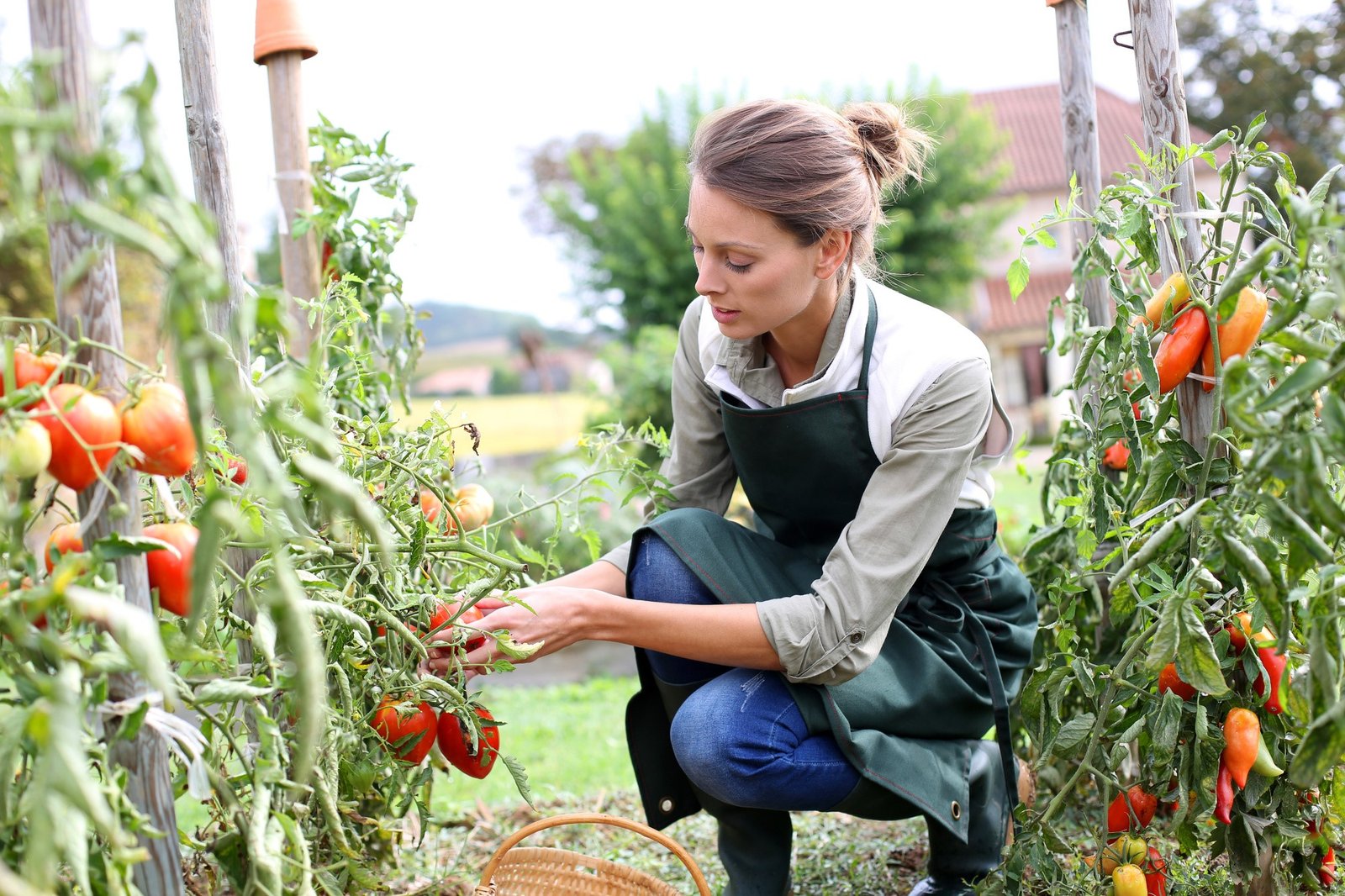 How to Start a Vegetable Garden from Scratch: A 7-Step Guide image - How to Start a Vegetable Garden from Scratch: A 7-Step Guide