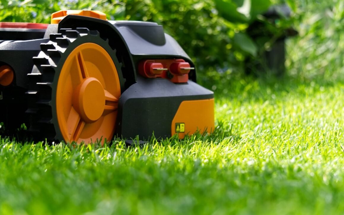 Featured image - Making Your Grass Greener Than the Other Side: Lawn Maintenance Tips for the Summer Heat